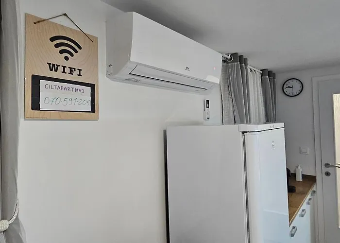 Cilt Apartment Kranj